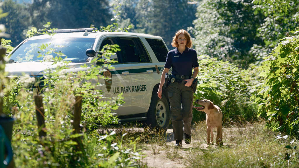 Bir Dedektif, Bir Köpek ve Uçsuz Bucaksız Orman: Blue Skies Başladı!